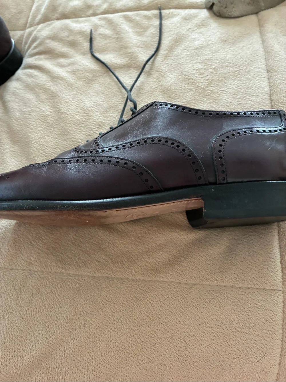 Bruno Magli Black Wingtip Leather Oxfords